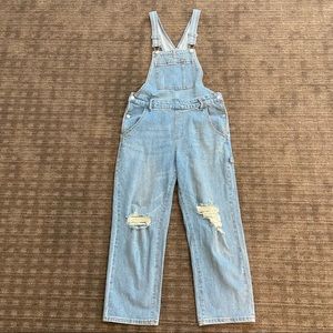 Wild Fable Overalls From Target. Worn once.